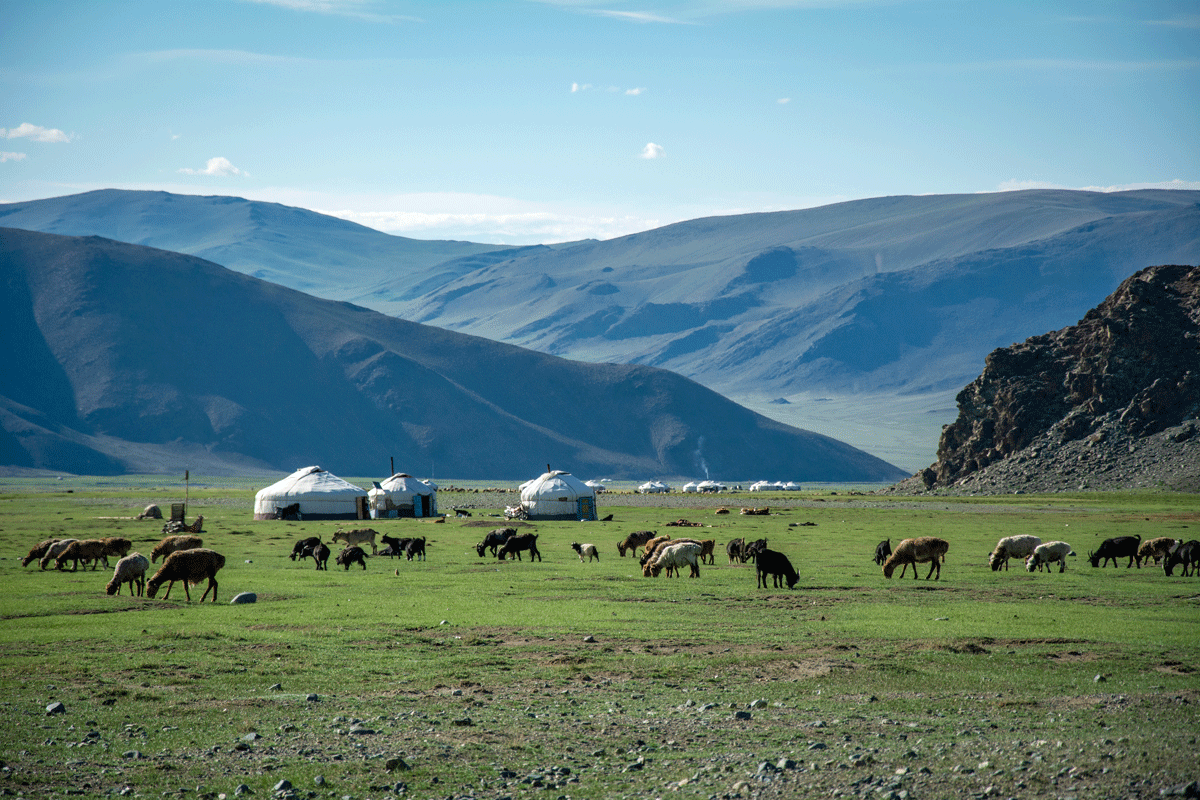 Mongolia explores health tourism opportunities as ITM 2026 attracts international interest