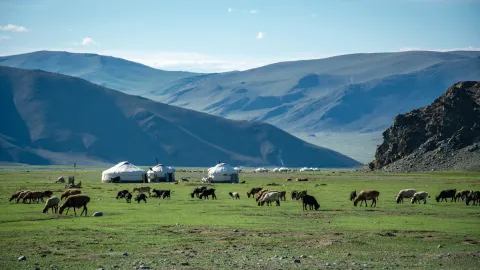 Mongolia explores health tourism opportunities as ITM 2026 attracts international interest
