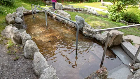 Kneipp therapy offers untapped potential for international health tourism